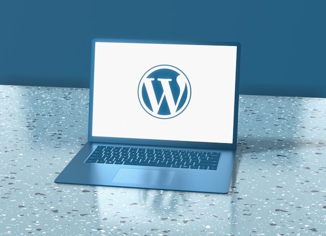 Full WordPress site audit and performance analysis data on screen